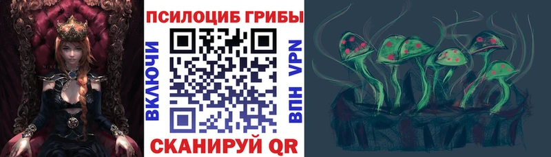 Псилоцибиновые грибы Psilocybine cubensis  Копейск 