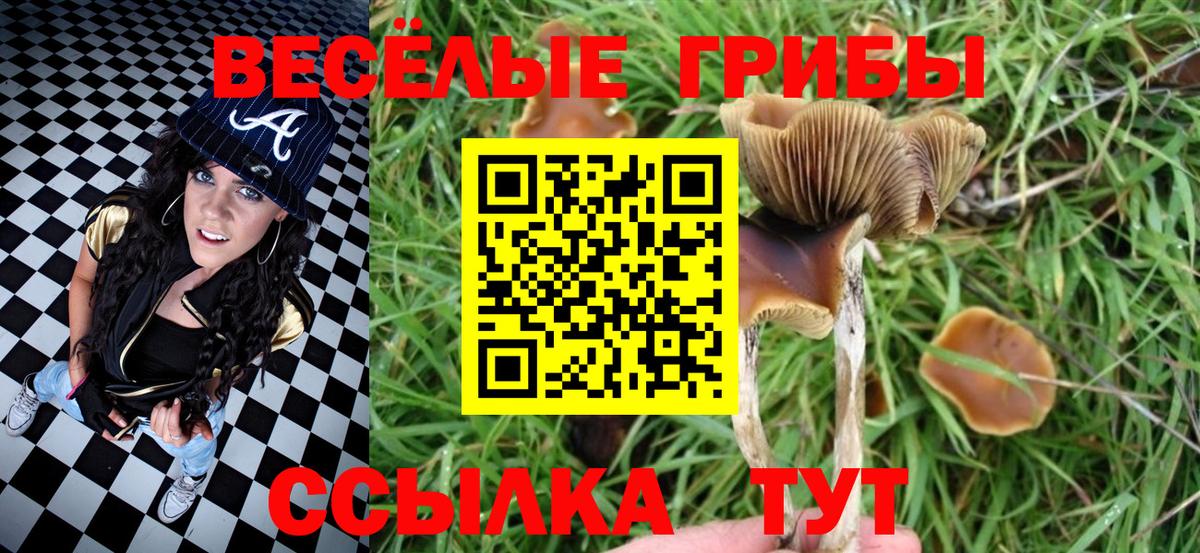ГАШИШ  Канабис  Копейск  ТГК  Вход с VPN  МЕФ кристаллы 