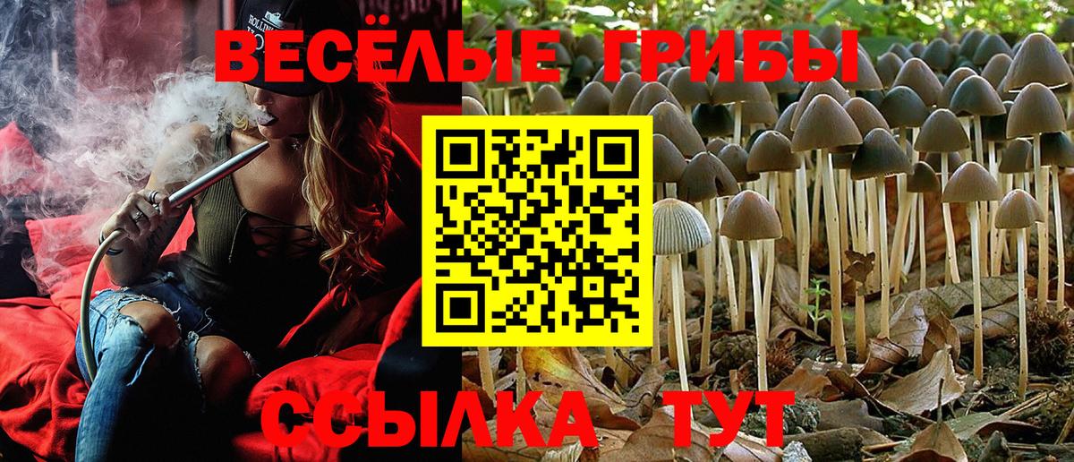 Галлюциногенные грибы Psilocybe  Вход с VPN  Галлюциногенные грибы Magic Shrooms  Копейск 